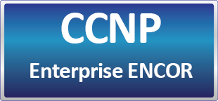 دوره حضوری/ آنلاین CCNP Enterprise ENCOR