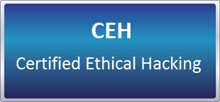 دوره آنلاین نوروزی Certified Ethical Hacking V.12 (CEH) 