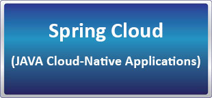 دوره آنلاین Spring Cloud (JAVA Cloud-Native Applications)